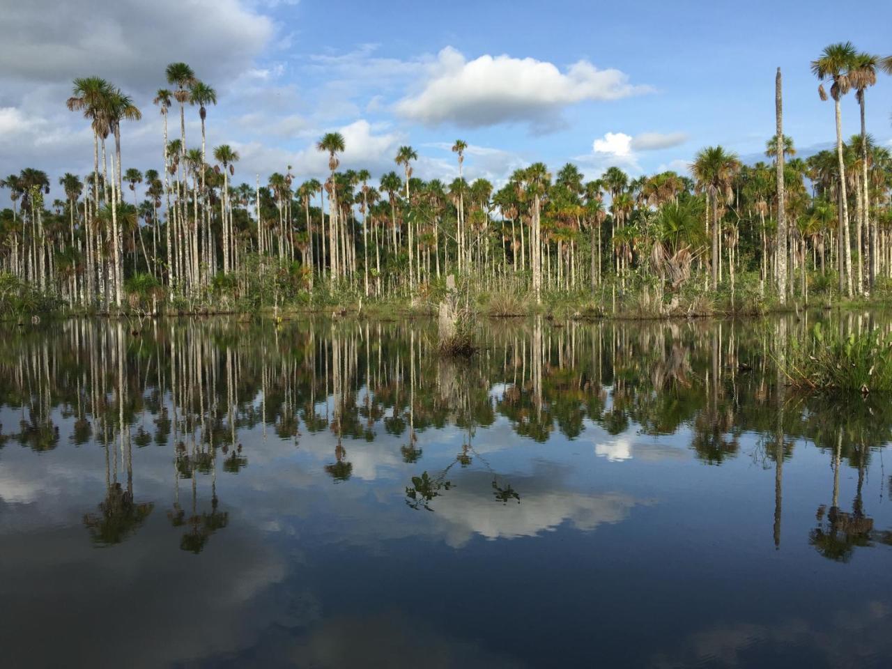 Hacienda Herrera Tambopata Puerto Maldonado Esterno foto